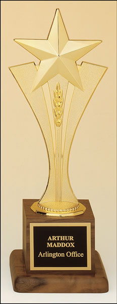 Star Performer Trophy