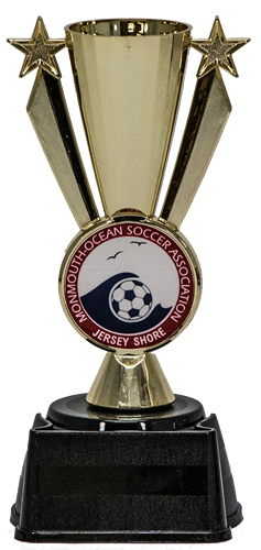Star Insert Cup Trophy