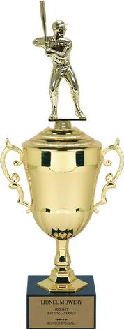 European Cup Trophy on Black Marble