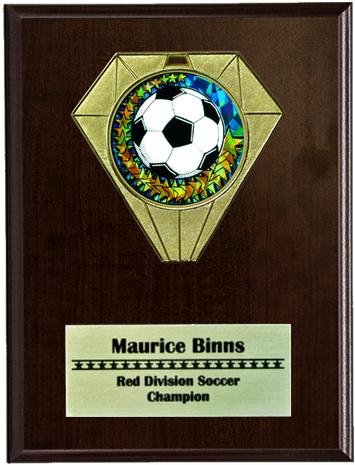 Jewel Medal Plaque