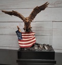 Large Eagle/Flag & Glass