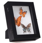 BLACK SHADOW BOX W/ EASEL BACK 