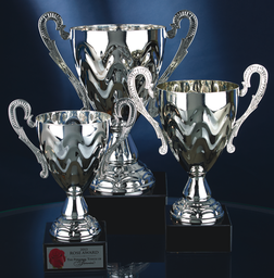 Twist Cup Trophy