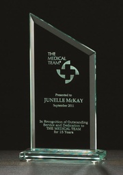 Zenith Summit Glass Award