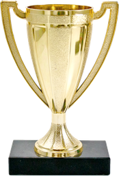 Small Gold Cup Trophy
