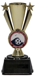 Star Insert Cup Trophy