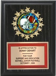 Starburst Medallion Plaque