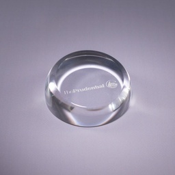[351] Insignia Paperweight