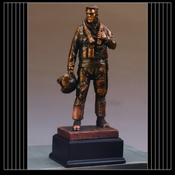 [54208] Pilot Statue